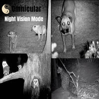 Omnicular® Night Vision Recorder