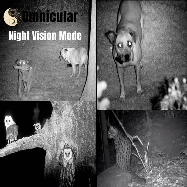 Omnicular® Night Vision Recorder